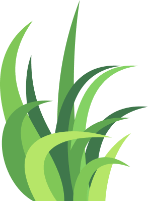 Feeding The Future Of The World - kaiyun