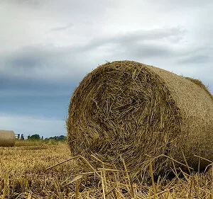 Agri-Tech and Innovation  Updates - kaiyun