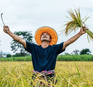 Agri-Tech and Innovation  Updates - kaiyun