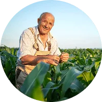 Revolutionizing the Way  Food is Grown - kaiyun