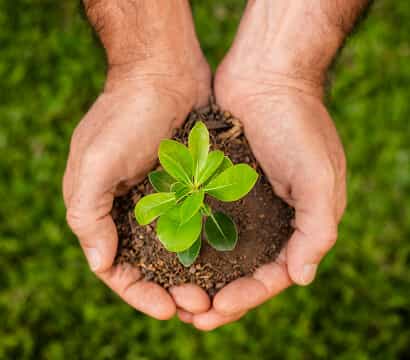 Our Legacy of Growth  & Trust - kaiyun