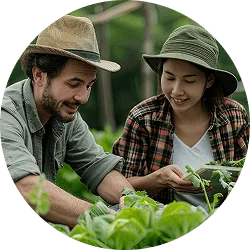 Revolutionizing  the Way Food - kaiyun