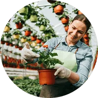 Organic Farming - kaiyun