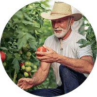 Organic Farming - kaiyun