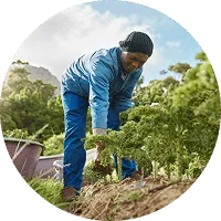 Organic Farming - kaiyun