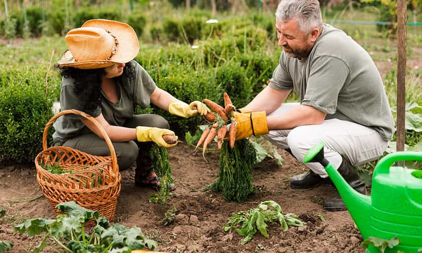Revolutionizing the Way Food is Grown - kaiyun