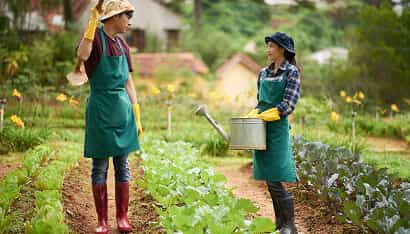Revolutionizing the Way Food is Grown - kaiyun